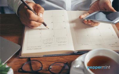 What is a Vesting Schedule?